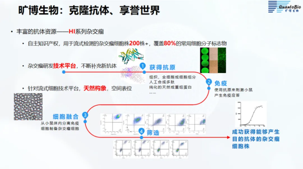 1717053262420879.png 2.png